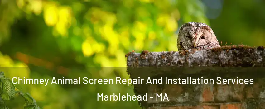  Chimney Animal Screen Repair And Installation Services Marblehead - MA