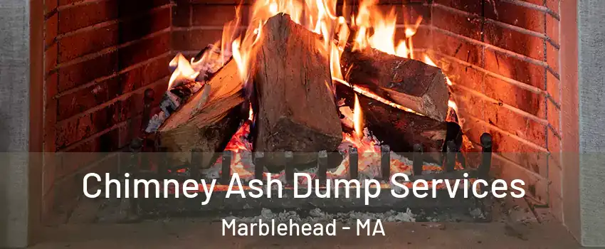  Chimney Ash Dump Services Marblehead - MA