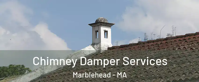  Chimney Damper Services Marblehead - MA