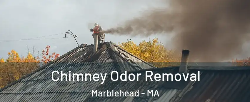  Chimney Odor Removal Marblehead - MA