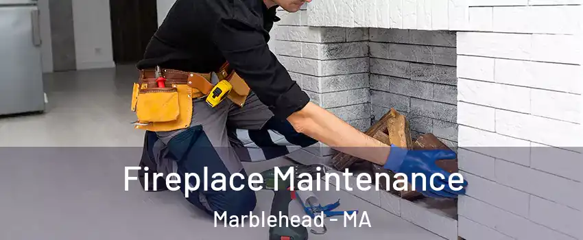  Fireplace Maintenance Marblehead - MA