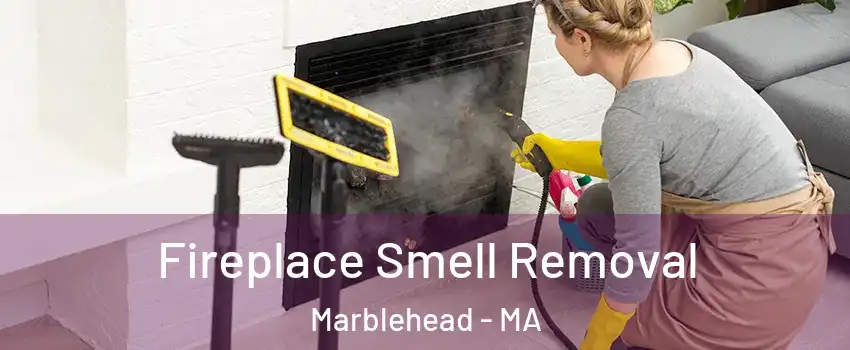  Fireplace Smell Removal Marblehead - MA