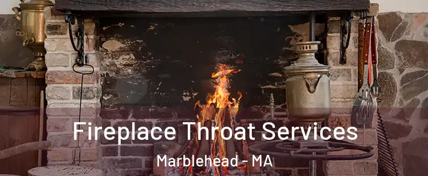  Fireplace Throat Services Marblehead - MA
