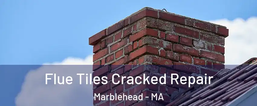  Flue Tiles Cracked Repair Marblehead - MA