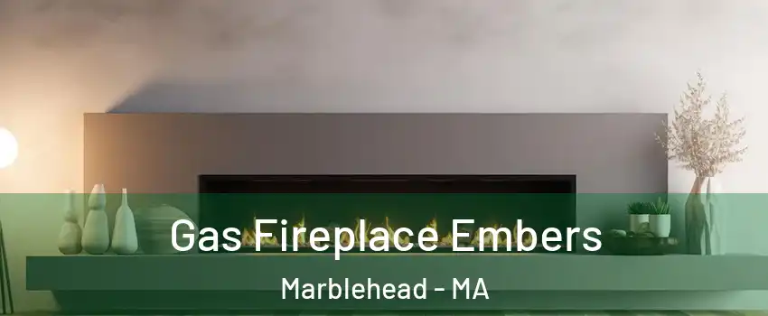  Gas Fireplace Embers Marblehead - MA