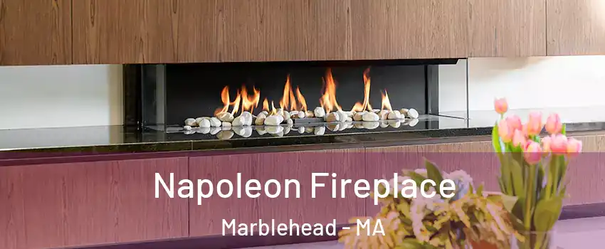  Napoleon Fireplace Marblehead - MA